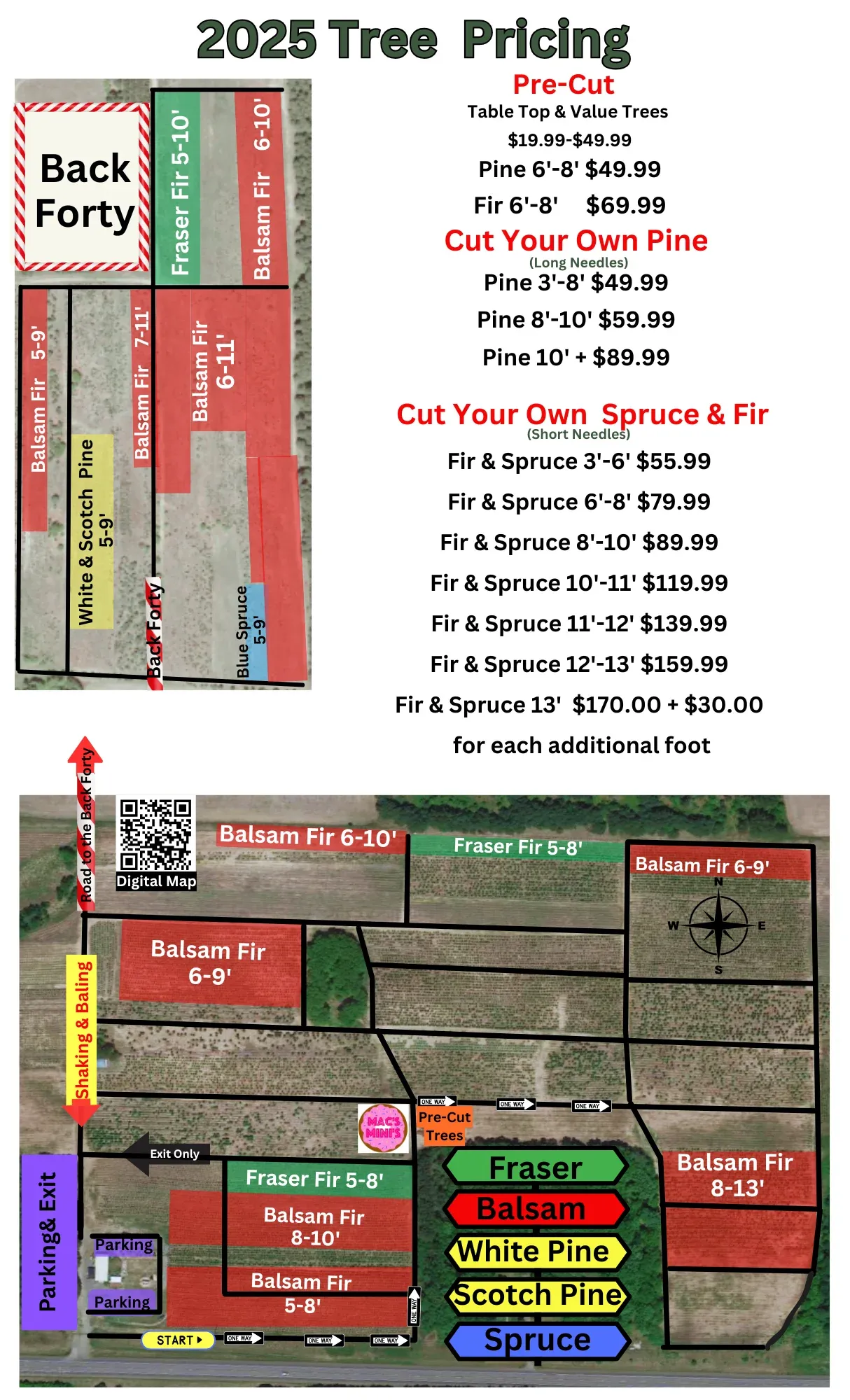 Princeton tree farm field map