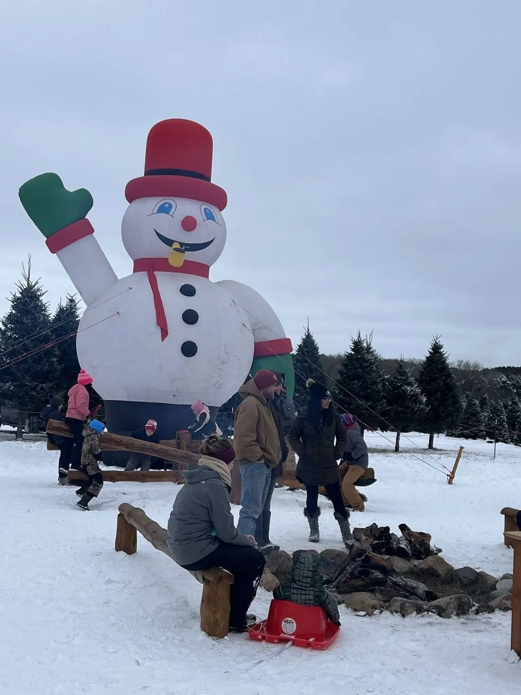 Giant inflatable Frosty snowman with families at B&J Evergreen farm