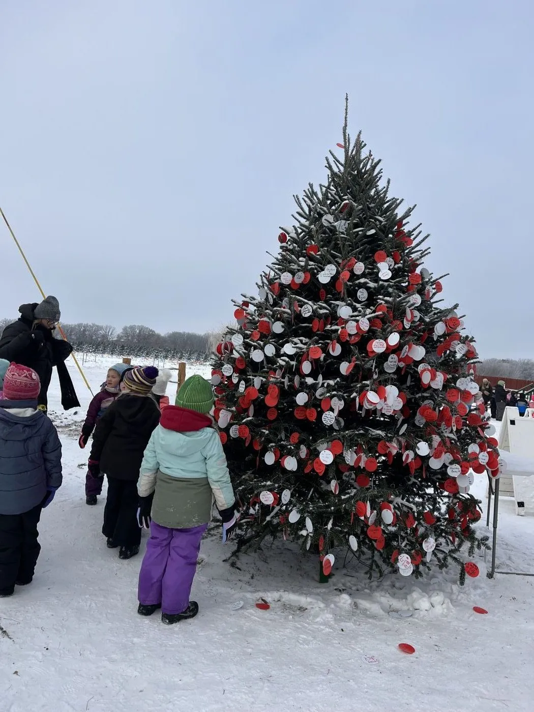 Children at the Wishing Tree covered in red and white wish tags at B&J Evergreen