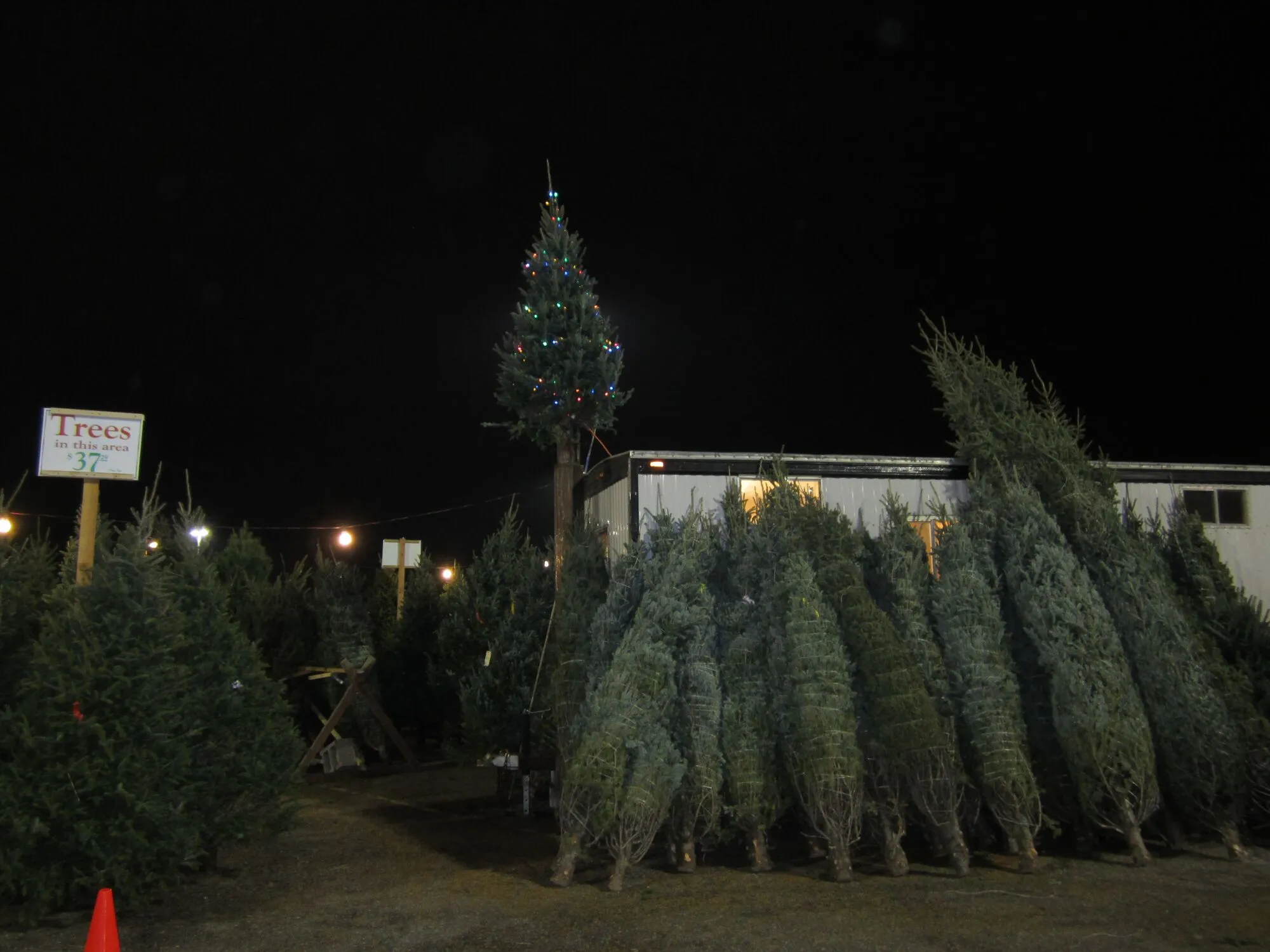 The B&J Trees lot at Eden Prairie