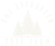 B&J Evergreen Tree Farm