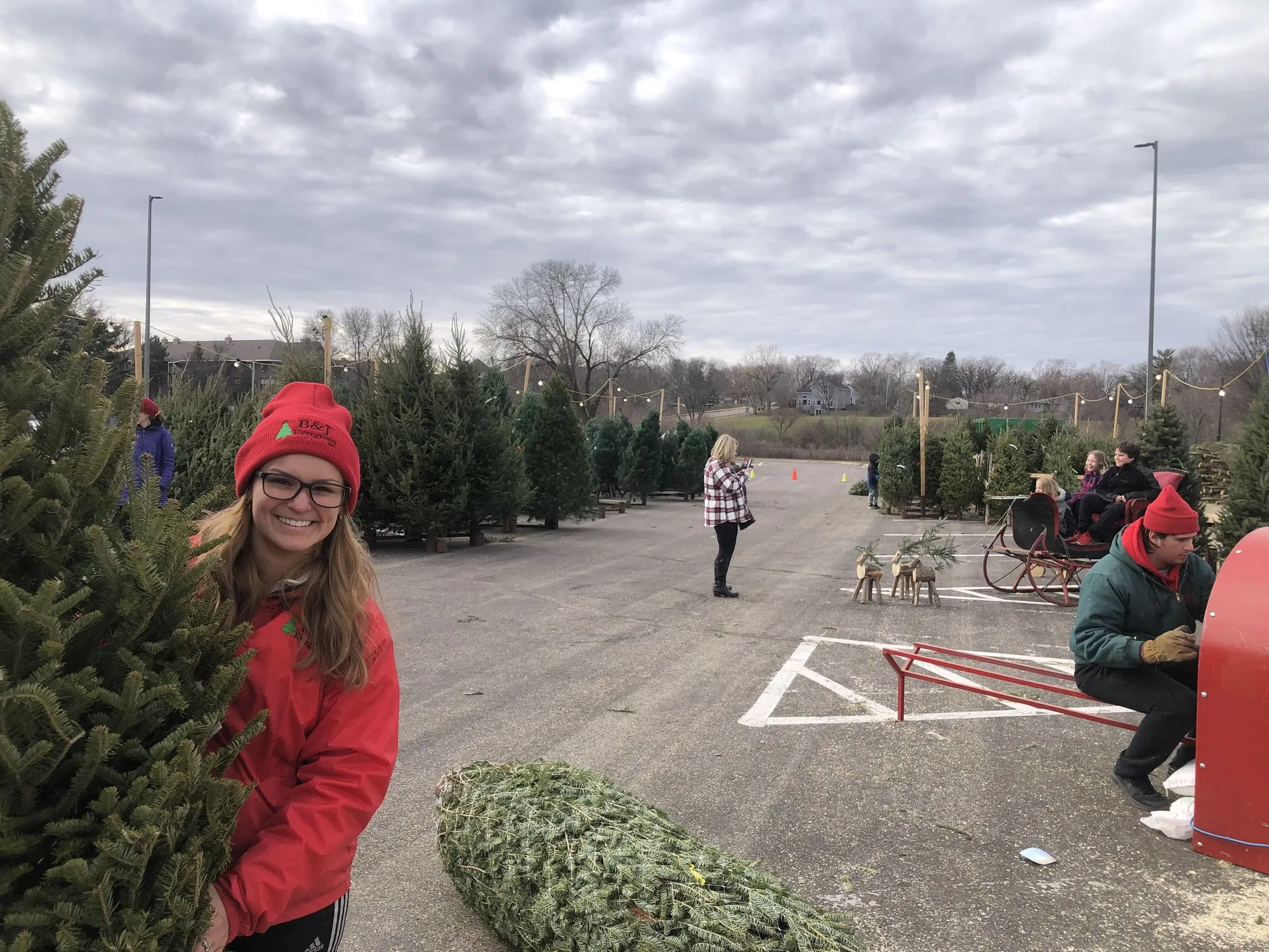 The B&J Trees lot at St. Louis Park