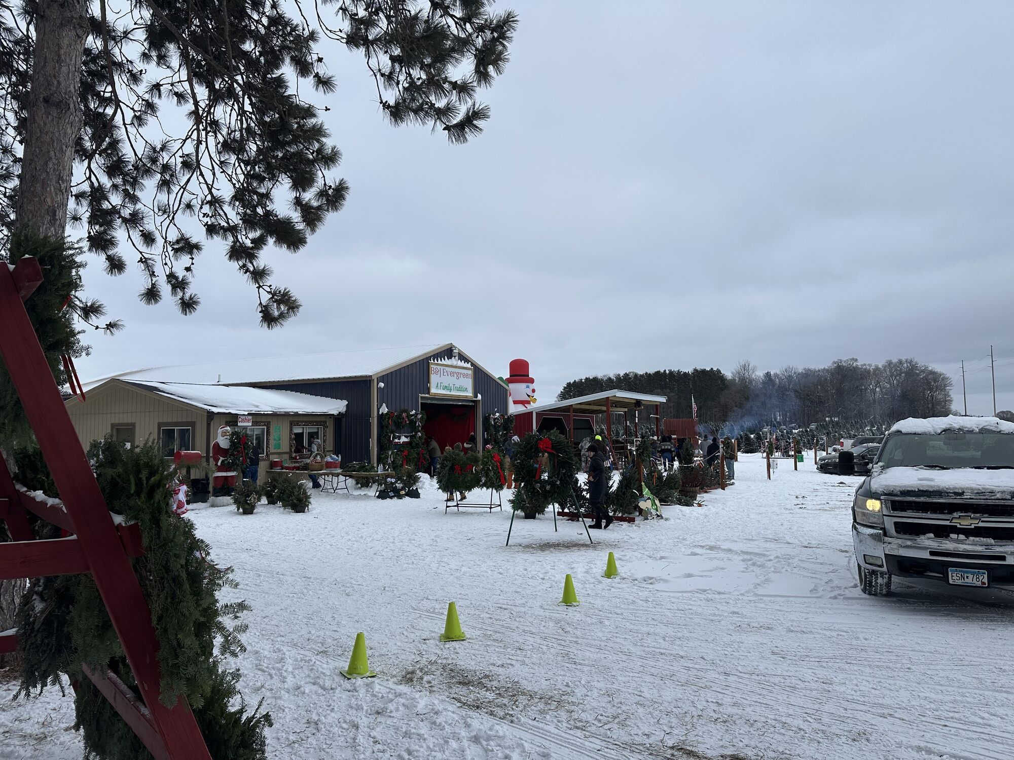 Christmas trees at the B&J Evergreen Princeton farm