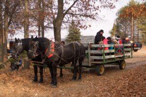 Wagon Rides at Clear Lake