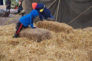Hay Stack