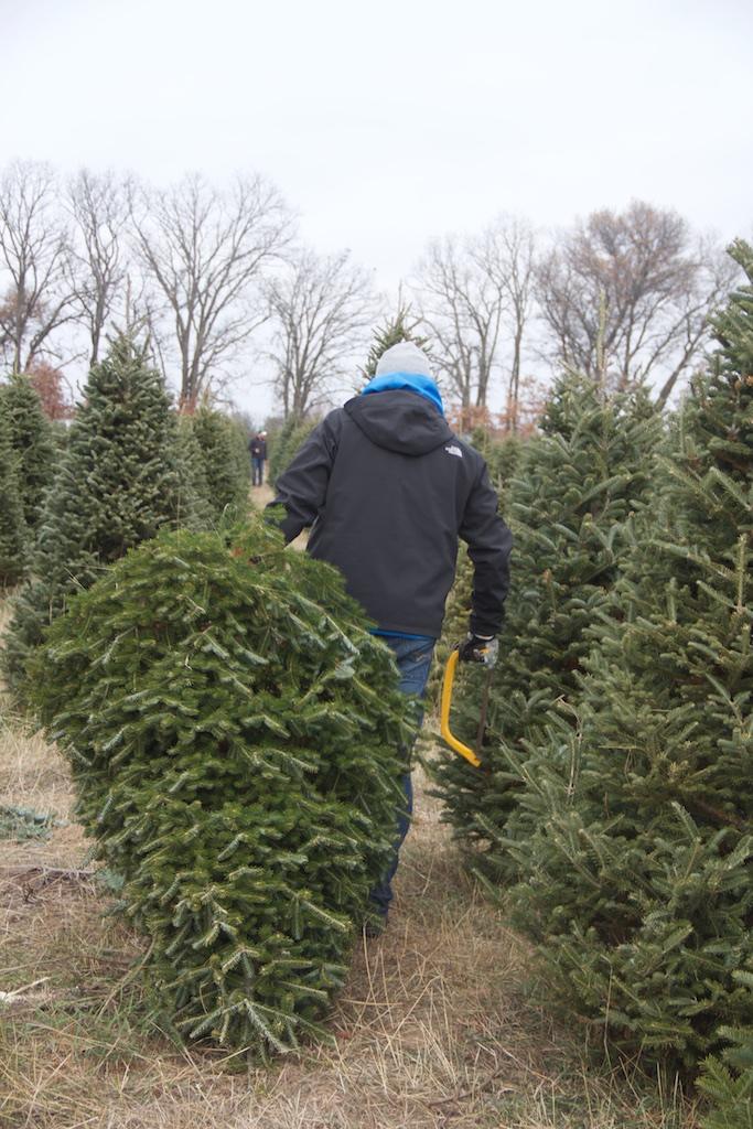 We have all you need here to cut your own tree, just bring your whole faimly!