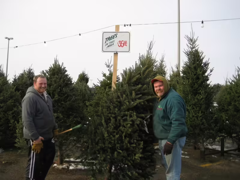 Tree Guys