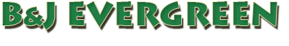 B&J Evergreen
