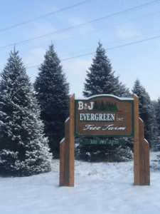 BJ Evergreen Christmas Tree Farms and Christmas Tree Lots